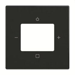 Busch-Jaeger Zentralscheibe 8252-885-101, schwarz matt