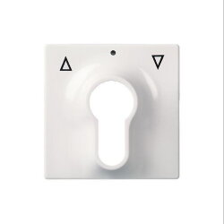 ELSO Zentralplatte 363034  Schlüsselschalter JOY...