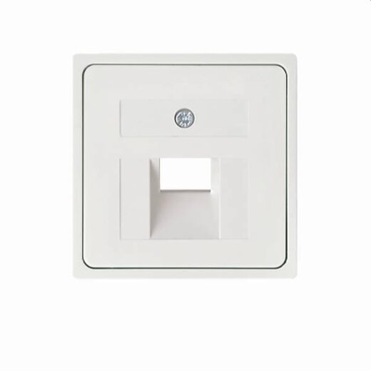 ELSO Zentralplatte 366404 für 1xRJ45 ohne JOY reinweiß