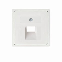 ELSO Zentralplatte 366404 für 1xRJ45 ohne JOY...