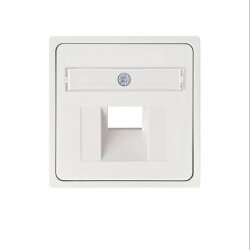 ELSO Zentralplatte 366504 für 1xRJ45 JOY reinweiß