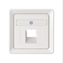 ELSO Zentralplatte 206524  1xRJ45 mit Schriftfeld...