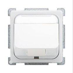 ELSO Zentralplatte 206874 schräg Leitungsausl. bis...