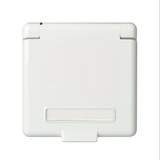 ELSO Zentralplatte 223164  Steckd. Klappdeckel u. reinweiß