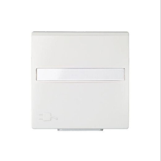 ELSO Zentralplatte 263164 für Steckdose JOY reinweiß