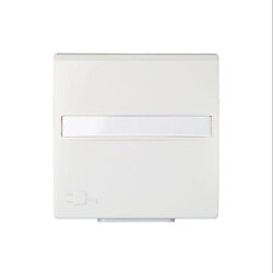 ELSO Zentralplatte 263164 für Steckdose JOY...