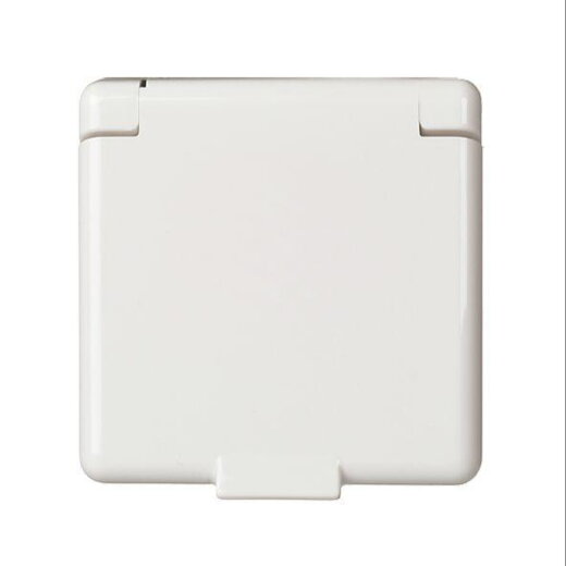 ELSO Zentralplatte 223144  Steckdose  Klappdeckel rw