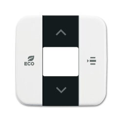 Busch-Jaeger Zentralscheibe 6236-214