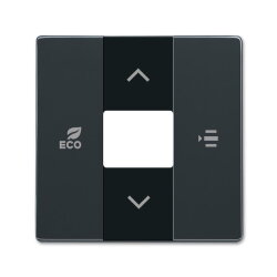 Busch-Jaeger Zentralscheibe 6236-81