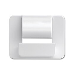 Busch-Jaeger Zentralscheibe 6477-24G für powerDock