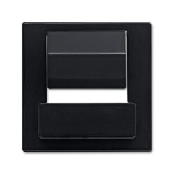 Busch-Jaeger Zentralscheibe 6477-81 für powerDock