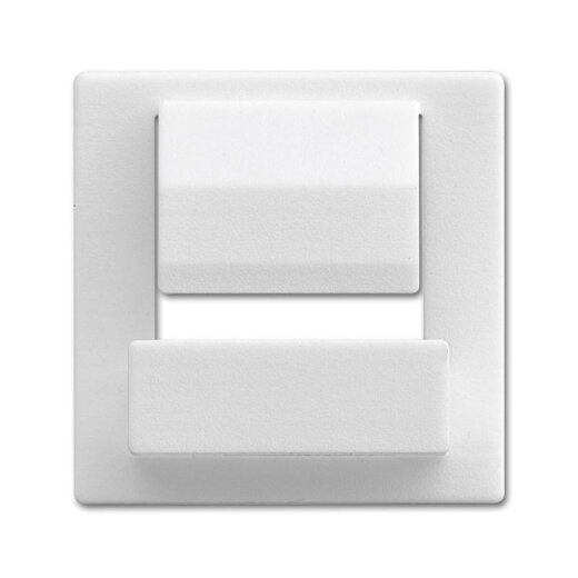 Busch-Jaeger Zentralscheibe 6477-84 für powerDock