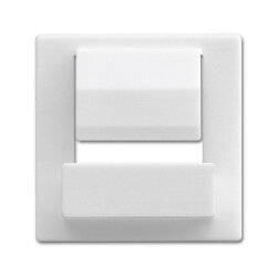 Busch-Jaeger Zentralscheibe 6477-84 für powerDock