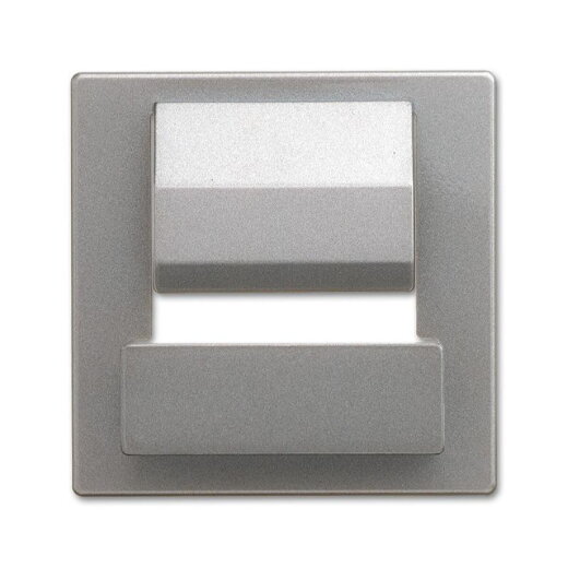 Busch-Jaeger Zentralscheibe 6477-866 für powerDock