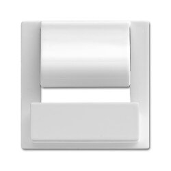 Busch-Jaeger Zentralscheibe 6477-914 für powerDock