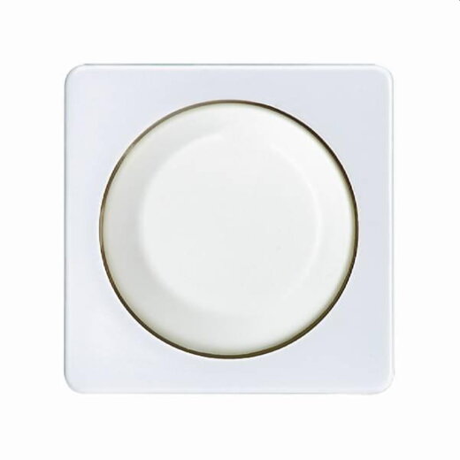 ELSO Zentralplatte 207014 mit Drehknopf  Dimmer reinweiß