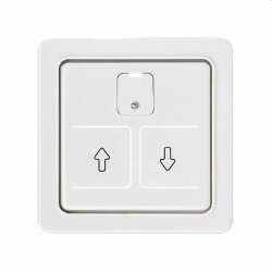 ELSO Zentralplatte 207064 elektr. Rollladenschalter rw