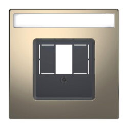 Merten Zentralplatte Nickelmetallic System Design