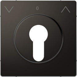 Merten Zentralplatte für...