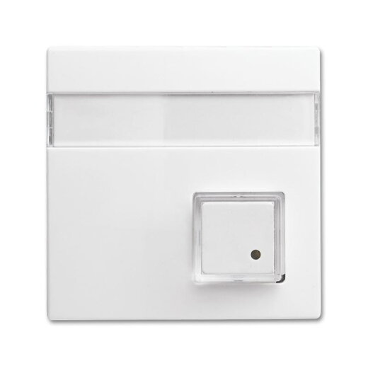 Busch-Jaeger Zentralscheibe 1571 CN-914