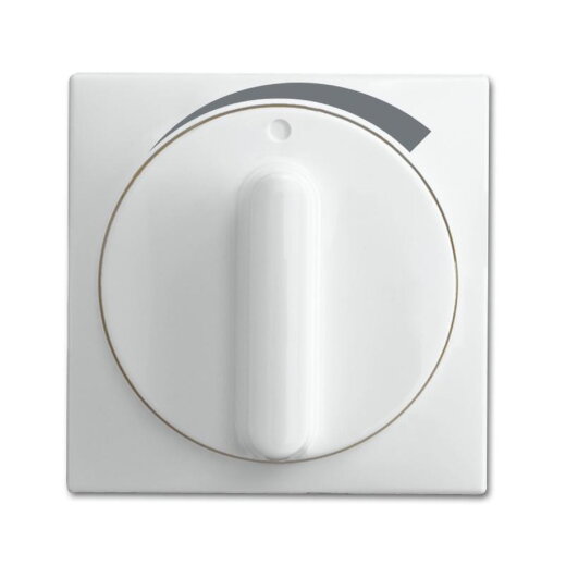 Busch-Jaeger Zentralscheibe 1740 DR/03-914 mit Drehgriff