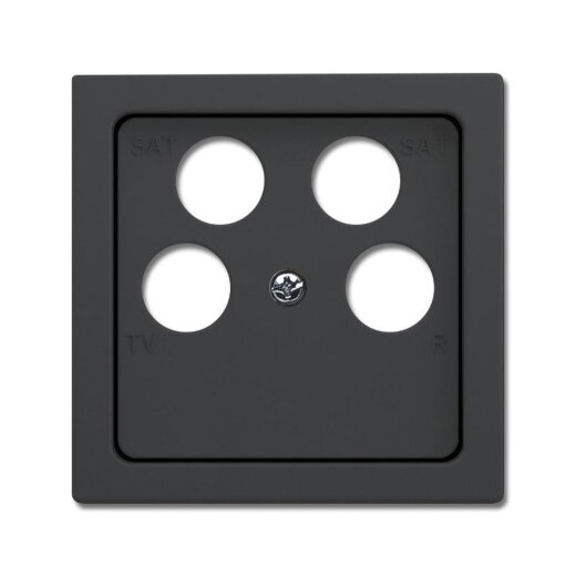 Busch-Jaeger Zentralscheibe 1743/10-04-81