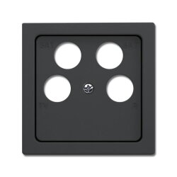 Busch-Jaeger Zentralscheibe 1743/10-04-81