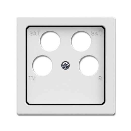 Busch-Jaeger Zentralscheibe 1743/10-04-884