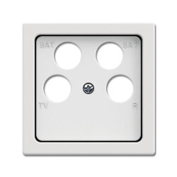 Busch-Jaeger Zentralscheibe 1743/10-04-884