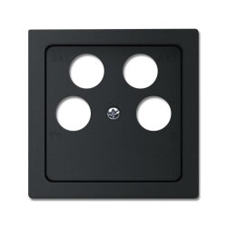 Busch-Jaeger Zentralscheibe 1743/10-04-885