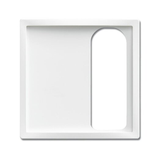 Busch-Jaeger Zentralscheibe 1790-595-84