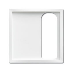 Busch-Jaeger Zentralscheibe 1790-595-84