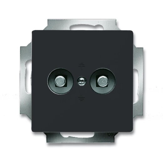 Busch-Jaeger Zentralscheibe 2095 UC-81