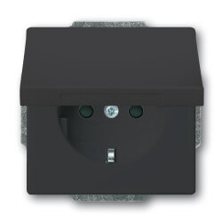 Busch-Jaeger Steckdose SCHUKO Zentralscheibe 20 EUKB-81...