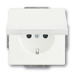 Busch-Jaeger Zentralscheibe 20 EUKB-884