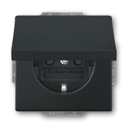 Busch-Jaeger Zentralscheibe 20 EUKB-885