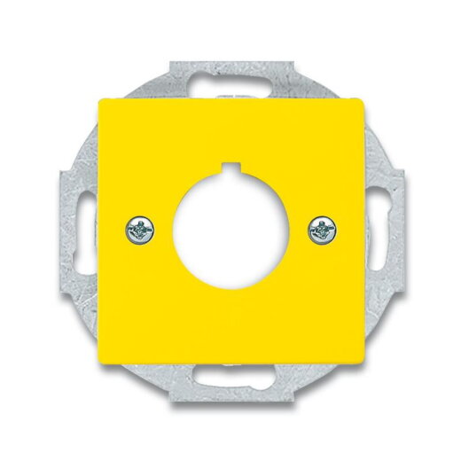 Busch-Jaeger Zentralscheibe 2533-82-15