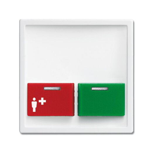 Busch-Jaeger Zentralscheibe 2548-642 B-84