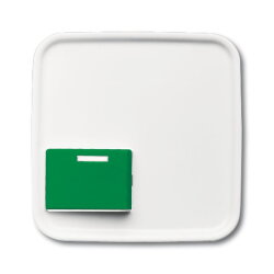 Busch-Jaeger Zentralscheibe 2548-642 C-214-101 Reflex-SI