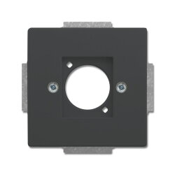 Busch-Jaeger Zentralscheibe 2553-81