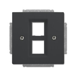 Busch-Jaeger Zentralscheibe 2561-02-81