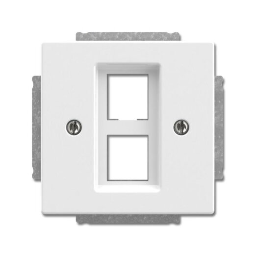 Busch-Jaeger Zentralscheibe 2561-02-84