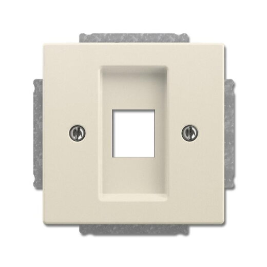 Busch-Jaeger Zentralscheibe 2561-82