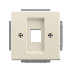 Busch-Jaeger Zentralscheibe 2561-82