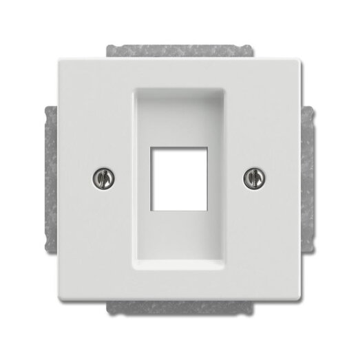 Busch-Jaeger Zentralscheibe 2561-884