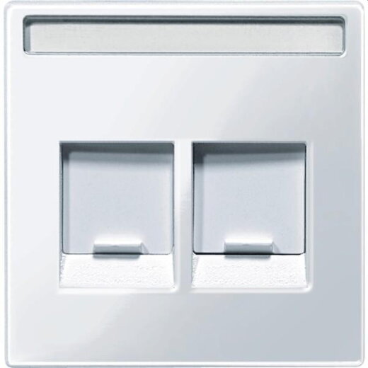 Merten Zentralplatte MEG4564-0325 2fach aktivweiss glaenzend