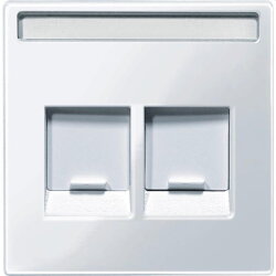 Merten Zentralplatte MEG4564-0325 2fach aktivweiss glaenzend