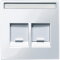Merten Zentralplatte MEG4564-0325 2fach aktivweiss glaenzend