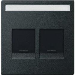 Merten Zentralplatte MEG4564-0414 2fach anthrazit