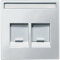 Merten Zentralplatte MEG4564-0419 2fach polarweiss